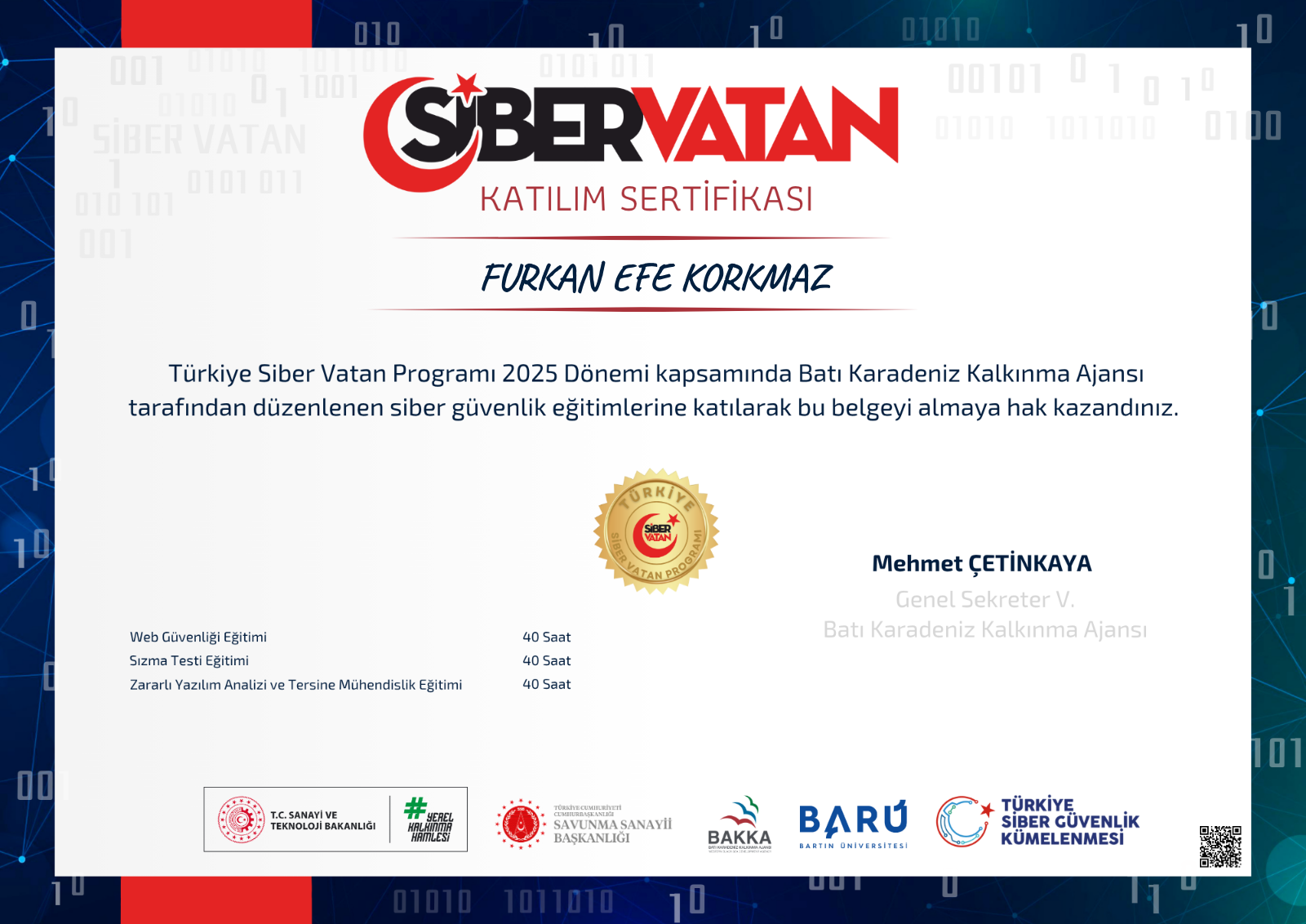 siber vatan
